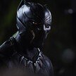 BlackPanther596d2f04d1540_2040.0.jpg